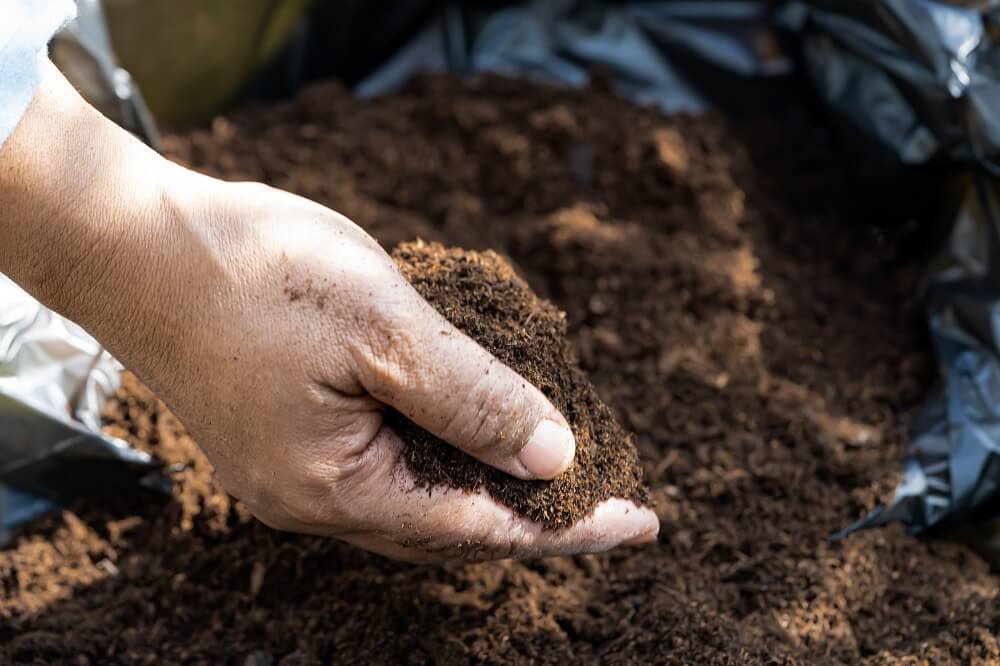 Recycled Screened Topsoil