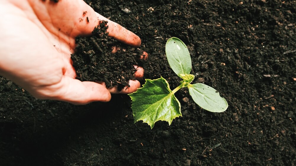 Recycled Screened Topsoil